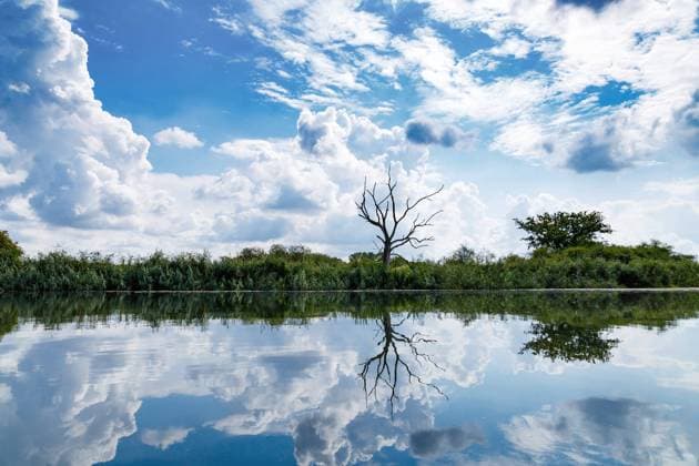 Ufer und Wolken spiegel sich in der Peene, Deutschland, Mecklenburg-Vorpommern shore and clouds mirroring on river Peene, Germany, Mecklenburg-Western Pomerania BLWS639652 *** Shore and clouds mirroring on river Peene, Germany, Mecklenburg Western Pomerania BLWS639652 Copyright: xblickwinkel A.xvonxDuerenx