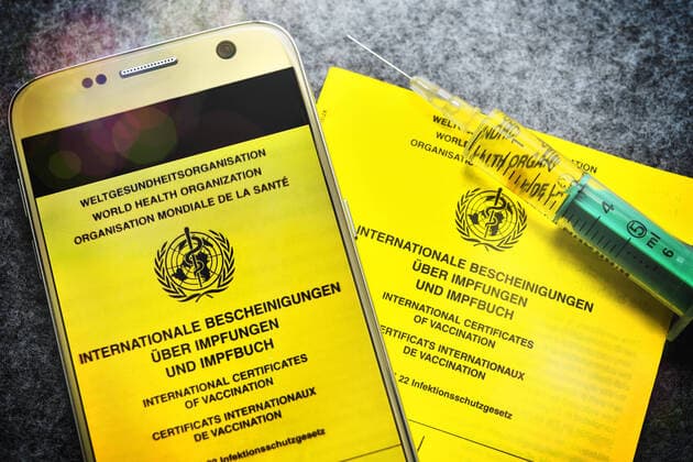 Impfpass, Impfspritze und Smartphone, digitaler Impfpass
