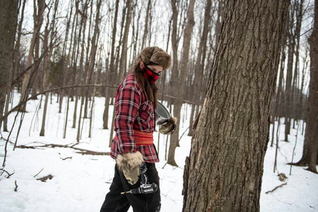 March 13, 2021, Ottawa, on, Canada: Mario Belisle, educator and program manager at the Vanier Museopark in Ottawa, looks for the right spot to tap a maple tree in the sugar bush on Saturday, March 13, 2021. The Vanier sugar bush is one of a few active urban sugar shacks, where maple syrup is produced the traditional way with buckets of maple water collected by hand. Ottawa Canada  - ZUMAc35_ 20210313_zaf_c35_084 Copyright: xJustinxTangx
