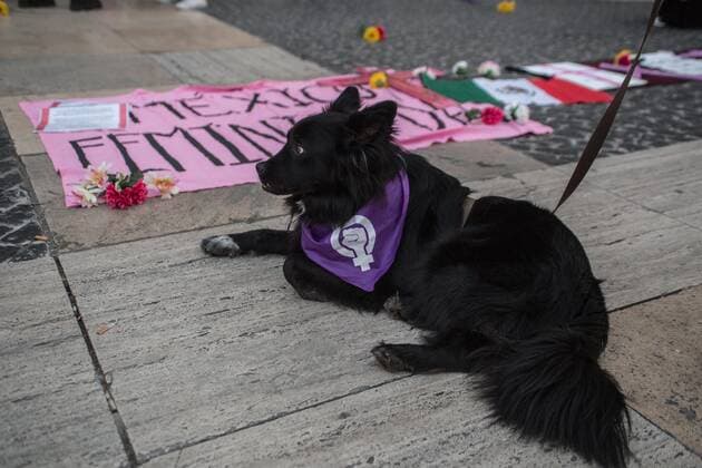 March 15, 2021, Barcelona, Spain: A dog is seen wearing a bandana with a feminist symbol during the demonstration..The collective of Mexican women in Barcelona, Mexican Fury (Furia Mexicana) have convened in front of the town hall as they protest against feminicide and sexist violence in Mexico and paid tribute to various victims of feminicide in Mexico in the last year. Barcelona Spain - ZUMAs197 20210315_zaa_s197_128 Copyright: xThiagoxPrudenciox