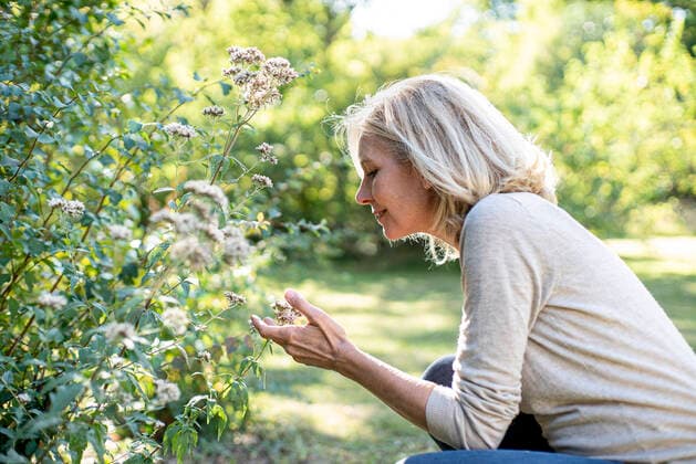IMAGO Creative: Internationaler Frauenmonat, Gesundheit, Frauen in der Menopause Smiling mature woman looking at flowers in backyard Copyright: GabrielxSanchez B98906444