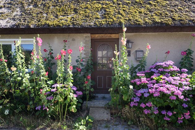 Traditionelles Reetdachhauses in Neu Reddevitz, Insel Rügen, Deutschland; Europa; 31.07.2020