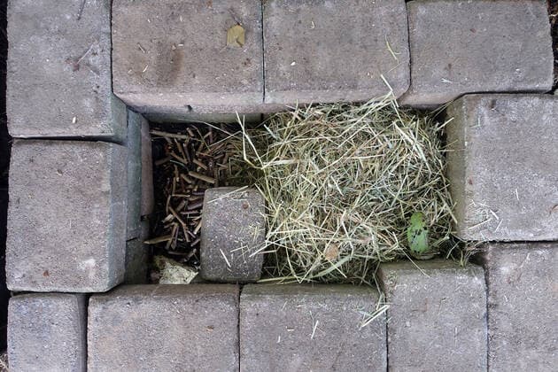 IMAGO Creative: Jahreszeit Herbst, Igel beziehen Winterquartier Europaeischer Igel, Westeuropaeischer Igel, Westigel, West-Igel, Braunbrustigel, Braunbrust-Igel (Erinaceus europaeus), Blick von oben in ein Igelhaus fuer den Winter, noch ohne Dach, Deutschland Western hedgehog, European hedgehog (Erinaceus europaeus), view into a hedgehog house from above, without roof yet, Germany BLWS639816 *** Western hedgehog, European hedgehog Erinaceus europaeus , view into a hedgehog house from above, without roof yet, Germany BLWS639816 Copyright: xblickwinkel E.xTeisterx