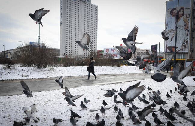 (210320) -- WARSAW, March 20, 2021 -- A woman wearing a face mask walks past some pigeons in central Warsaw, Poland, on March 20, 2021. The government of Poland announced a new nationwide partial lockdown on Friday after the cumulative number of COVID-19 cases since the start of the pandemic exceeded two million in the country. Starting on Saturday, only a select number of shops -- among them supermarkets and pharmacies -- located in shopping malls with over 2,000 square meters of retail space are allowed to operate. Cinemas, theaters and museums will have to remain closed, and schools will return to online learning. (Photo by Xinhua) POLAND-WARSAW-COVID-19-PARTIAL LOCKDOWN JaapxArriens 
