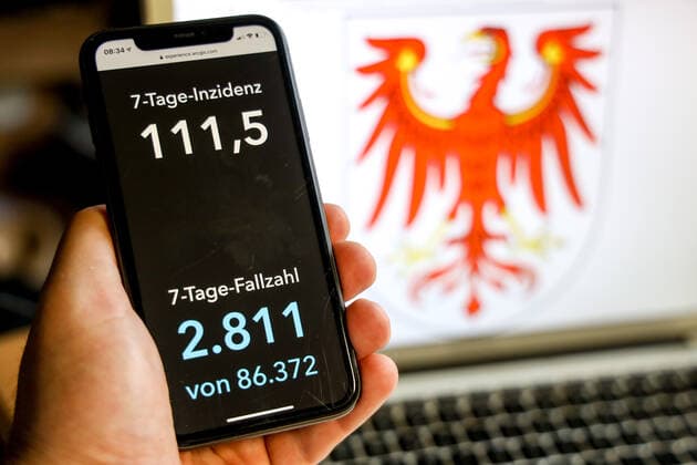 Coronavirus in Deutschland - Covid-19-Dashboard des Robert Koch-Institut DEU, Deutschland, Brandenburg, 21.03.2021: Die 7-Tage-Inzidenz für das Bundesland (Fälle letzte 7 Tage 100.000 EW) wird auf einem iPhone angezeigt, im Hintergrund das Landeswappen