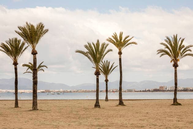 March 21, 2021, S Arenal, Mallorca, Spain: On a cold Sunday on the beach of S Arenal with palm trees and little boats in front of the skyline of Palma de Mallorca and Playa de Palma in Mallorca. S Arenal Spain - ZUMAm210 20210321_ztp_m210_002 Copyright: xJohn-PatrickxMorarescux