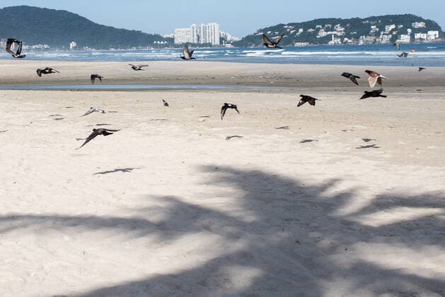Coronavirus in Brasilien, Geschlossener Strand von Guaruja bei Sao Paulo SÃO PAULO, SP - 21.03.2021: PRAIAS INTERDITADAS NO GUARUJÁ - The beaches of Guarujá, on the coast of São Paulo, were closed on Sunday (21) after the State Government entered the emergency phase, the most restrictive. x2045052x  VincentxBosson