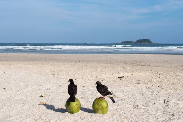 News Bilder des Tages Coronavirus in Brasilien, Geschlossener Strand von Guaruja bei Sao Paulo SÃO PAULO, SP - 21.03.2021: PRAIAS INTERDITADAS NO GUARUJÁ - The beaches of Guarujá, on the coast of São Paulo, were closed on Sunday (21) after the State Government entered the emergency phase, the most restrictive. x2045055x  VincentxBosson