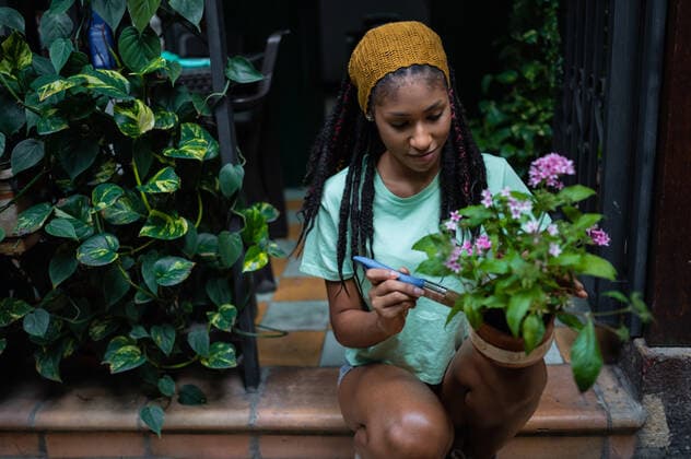 IMAGO Creative: Garten, Anbau im Gewächshaus Happy hippie African American female with dreadlocks gardener painting ceramic pot with flower while working in hothouse, Model released Copyright: xNanoxCalvox MR