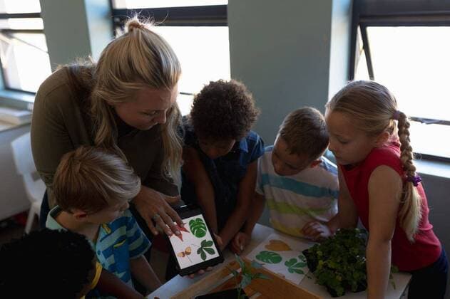 IMAGO Creative: Klimawandel - Umwelterziehung Female teacher looking at pictures of leaves on a tablet computer for a nature study lesson in an el High angle view of a Caucasian female elementary school teacher with long blonde hair and a diverse group of schoolchildren standing together looking at plants and pictures of leaves on a tablet computer and talking during a nature study lesson in an elementary school classroom, model released, , property released, Cape Town, South Africa, 01.12.2019, 1303795.jpg, people,people,real people,class,classmates,school,elementary school,primary school,classroom,education,lesson,student,pupil,studying,study,learn,learning,together,interacting,communication,information,knowledge,development,attention,teacher,teaching,working,job,career,occupation,p