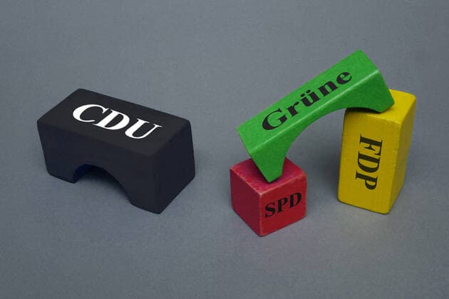 Bauklötzer mit Parteinamen Bauklötzer mit Parteinamen, 21.03.2021, Borkwalde, Brandenburg, Auf verschiedenen Bauklötzern stehen Parteinamen.