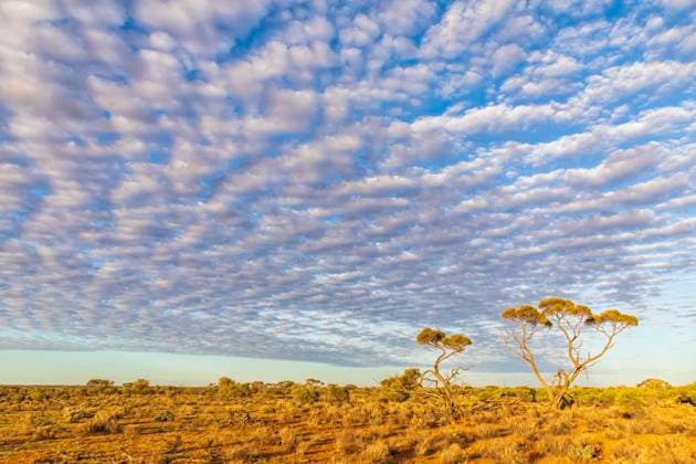 Australia, South Australia, View from Stuart Highway at white fluffy clouds over plain FOF12106