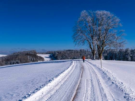 Germany, Black Forest, Freiamt, Person hiking on Schillinger Berg in winter model released Symbolfoto LAF02688