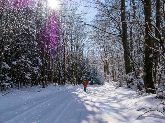 Germany, Black Forest, Freiamt, Person hiking on Schillinger Berg in winter model released Symbolfoto LAF02689