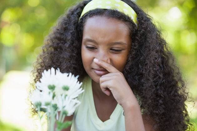 Young girl holding a flower and covering her nose in the park Young girl holding a flower and covering her nose in the park on a sunny day, model released, Cape Town, South Africa, 31.01.2014, 332250.jpg, park, grass, grassland, lawn, countryside, nature, environment, parkland, green, sunny, sunlight, sunshine, summer, summertime, spring, cute, childhood, curly hair, t-shirt, sitting, hairband, sick, ill, illness, frowning, hay fever, allergies, holding, flower, pollen, finger, covering, nose Child, Girl, Female, Mixed-Race, 8-9 Years, Girls, Mixed-Race Person Outdoors,Front view,Day,Head and shoulders