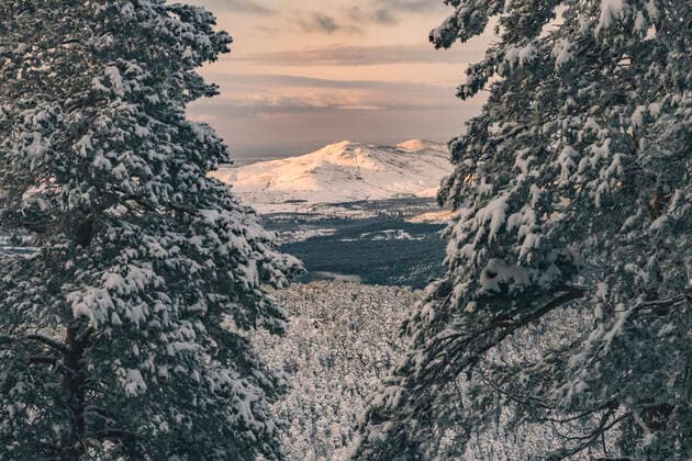 Mountain snowcapped peak in the distance and pine trees covered in snow in the foreground, Sierra de Guadarrama Real Sitio de San Ildefonso, CL, Spain CR_JALO210328-690472-01