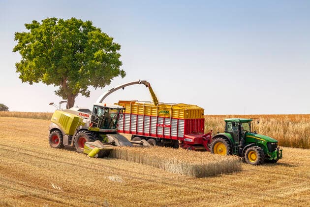 IMAGO Nature: Unsere Erde, Klimawandel, Ernährung, Pflanzen der Zukunft, Hafer Das letzte Stückchen Getreide auf dem Feld Großer Traktor und großer Mähdrescher fahren parallel zum ernten von Getreide, im Hintergrund einzelner Baum Herzogenaurach Bayern Deutschland *** The last bit of grain in the field Large tractor and large combine drive parallel to harvest grain, in the background single tree Herzogenaurach Bavaria Germany