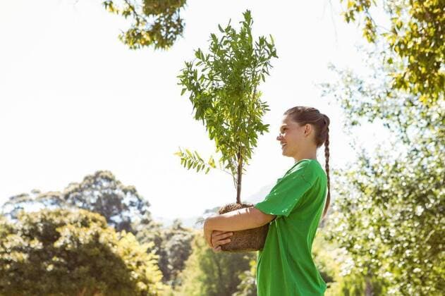 IMAGO Creative: Klimawandel - Umwelterziehung Environmental activist about to plant tree Environmental activist about to plant tree on a sunny day, model released, Cape Town, South Africa, 18.11.2014, 455930.jpg, countryside, nature, environment, green, grass, sunny, park, parkland, sunshine, recreation, leisure, lifestyle, attractive, pretty, summer, summertime, spring, activist, activism, ecology, recycling, climate, t-shirt, recycle, eco friendly, conservation, global, earth, awareness, issue, holding, plant, tree, planting, gardening Young Adult, Woman, Female, Caucasian, 18-19 Years, Young Women, Caucasian Ethnicity Outdoors,Day