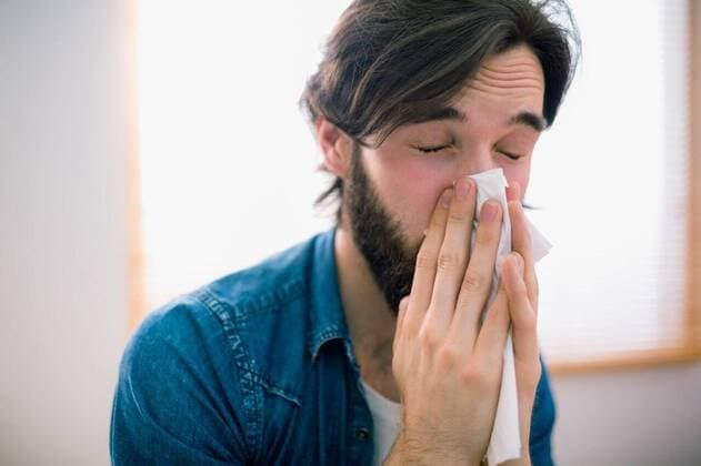 Sick man blowing his nose Sick man blowing his nose at home in the living room, model released, Cork, Ireland, 03.07.2015, 612558.jpg, cool, studio, handsome, beard, hipster, fashion, style, attractive, stylish, fashionable, home, house, household, homey, apartment, domicile, abode, lifestyle, leisure, domestic life, couch, sofa, living room, sitting room, sick, ill, illness, virus, infection, cold, tissue, sneezing, influenza, hay fever, allergies, blowing nose 20s, Young Adult, Man, Male, Caucasian, 25-29 Years, Young Men, Caucasian Ethnicity