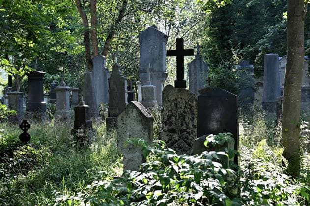 Stille im Friedhof. Der alte südliche Friedhof in München,alte Gräber bilden mit der Natur eine stille Idylle. München Bayern Deutschland *** Silence in the cemetery The old southern cemetery in Munich,old graves form a quiet idyll with nature Munich Bavaria Germany Copyright: xRolfxPossx