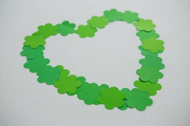 St Patricks Day shamrocks forming heart shape St Patricks Day shamrocks forming heart shape on white background, model released, Cape Town, South Africa, 11.01.2017, 919581.jpg, studio shot, white background, concept, conceptual, st patrick, patrick, saint, festive, festival, social occasion, holiday, irish, forming, formed, heart shape, heart, clover, leaf, green, shamrock, symbol, charm, luck, lucky, fortune, culture, traditional, success, celebration, ideas, creativity, love
