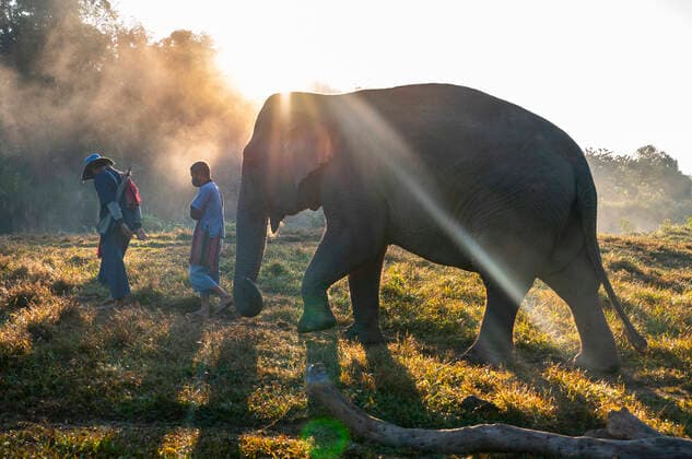 IMAGO Creative: 2021 Favoriten walking with elephant s at animal sanctuary in the golden triangle Mueang Chiang Rai, ?.????????, Thailand CR_THHE210413C-689492-01 ,model released, Symbolfoto