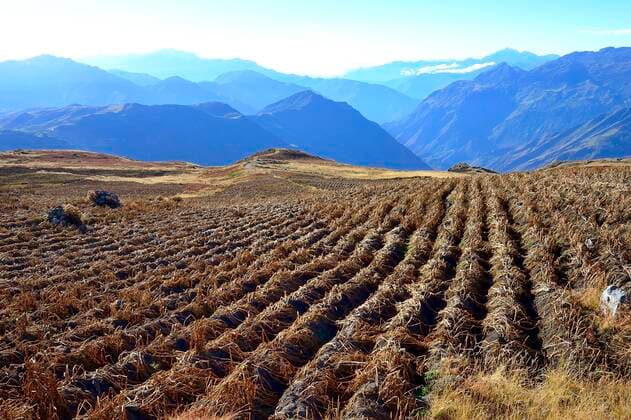 IMAGO Nature: Unsere Erde, Klimawandel, Ernährung, Pflanzen der Zukunft, Quinoa Landwirtschaft, Quinoa Anbau Abgeerntetes Feld von Quinoa (Chenopodium quinoa), Provinz Andahuaylas, Peru, Südamerika *** Harvested field of quinoa Chenopodium quinoa , Andahuaylas Province, Peru, South America Copyright: imageBROKER/PeterxGiovannini ibxgiv06726851.jpg