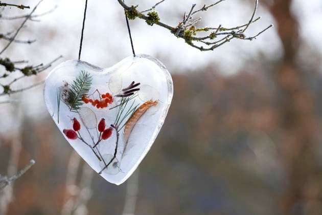 Herz aus Eis mit eingeschlossenen Naturmaterialien wie Hagebutten, Zweigen, Feder, Vogelbeeren, Silberblatt, Deutschland heart made of ice with enclosed natural materials such as rose hips, twigs, feather, rowan berries, silver leaf , Germany BLWS642609 *** Heart made of ice with enclosed natural materials such as rose hips, twigs, feather, rowan berries, silver leaf , Germany BLWS642609 Copyright: xblickwinkel F.xHeckerx