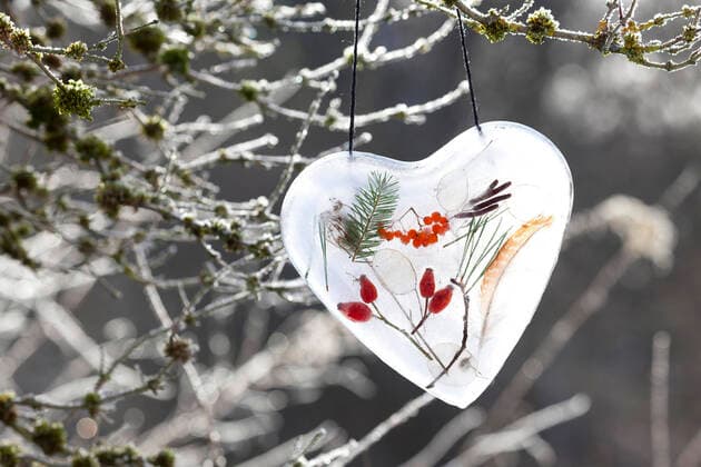 Herz aus Eis mit eingeschlossenen Naturmaterialien wie Hagebutten, Zweigen, Feder, Vogelbeeren, Silberblatt, Deutschland heart made of ice with enclosed natural materials such as rose hips, twigs, feather, rowan berries, silver leaf , Germany BLWS642612 *** Heart made of ice with enclosed natural materials such as rose hips, twigs, feather, rowan berries, silver leaf , Germany BLWS642612 Copyright: xblickwinkel F.xHeckerx