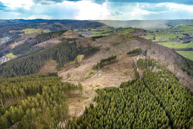 Luftbild, Walschäden im Waldgebiet Holzhausen, Bad Laasphe, Siegerland, Nordrhein-Westfalen, Deutschland !ACHTUNGxMINDESTHONORARx60xEURO! *** Aerial photograph, whale damage in the Holzhausen forest area, Bad Laasphe, Siegerland, North Rhine-Westphalia, Germany ATTENTIONxMINESTHONORARx60xEURO