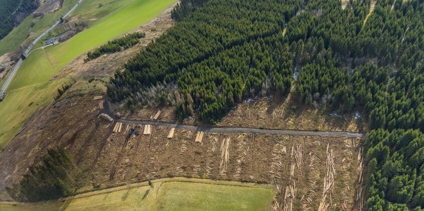 Luftbild, Waldschäden im Waldgebiet Berg Ebschloh, Erndtebrück, Siegerland, Nordrhein-Westfalen, Deutschland !ACHTUNGxMINDESTHONORARx60xEURO! *** Aerial view, forest damage in the forest area Berg Ebschloh, Erndtebrück, Siegerland, North Rhine-Westphalia, Germany ATTENTIONxMINDESTHONORARx60xEURO