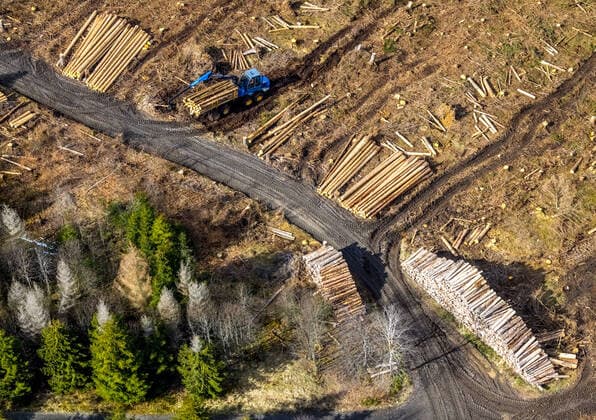 Luftbild, Waldschäden im Waldgebiet Berg Ebschloh, Holztransport, Erndtebrück, Siegerland, Nordrhein-Westfalen, Deutschland !ACHTUNGxMINDESTHONORARx60xEURO! *** Aerial view, forest damage in the forest area Berg Ebschloh, timber transport, Erndtebrück, Siegerland, North Rhine-Westphalia, Germany ATTENTIONxMINESTHONORARx60xEURO