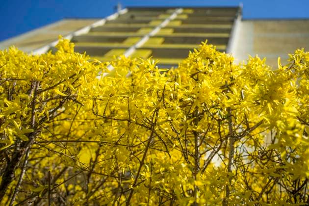 April 22, 2021, PoznaA, Wielkopolska, Poland: 21.04.2021. Spring in the city. PoznaÅ Poland - ZUMAt233 20210422_zap_t233_018 Copyright: xDawidxTatarkiewiczx
