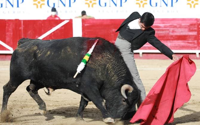 Leon (Mexico), 24 04 2021.- Mexican Nicolas Gutierrez fights the bull Va por Mexico, 468kg, during a bullfight in the La Luz de Leon bullring, in Leon, in the state of Guanajuato, Mexico, 24 April 2021. Bullfighting festival in central Mexico !ACHTUNG: NUR REDAKTIONELLE NUTZUNG!  Copyright: xLuisxRamirezx MEX180 20210425-637549131093491210