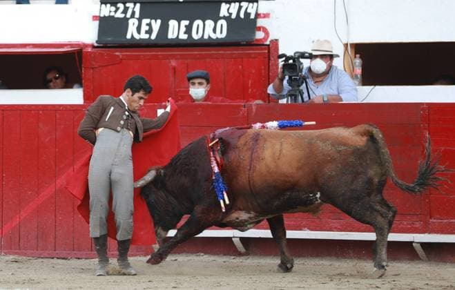 Leon (Mexico), 24 04 2021.- Mexican Francisco Martinez fights the bull Rey de Oro , 474kg, during a bullfight in the La Luz de Leon bullring, in Leon, in the state of Guanajuato, Mexico, 24 April 2021. Bullfighting festival in central Mexico !ACHTUNG: NUR REDAKTIONELLE NUTZUNG!  Copyright: xLuisxRamirezx MEX191 20210425-637549187369203079