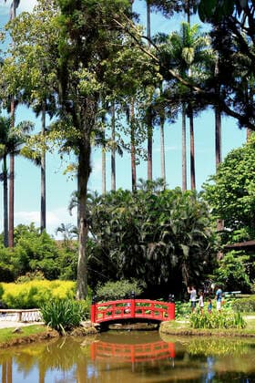 Im Botanischen Garten von Rio de Janeiro, Brasilien