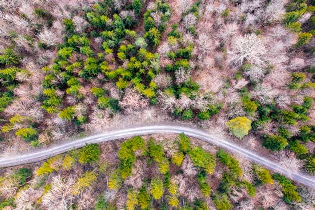 Germany, Baden Wurttemberg, Aerial view of Swabian Forest in spring STSF02920