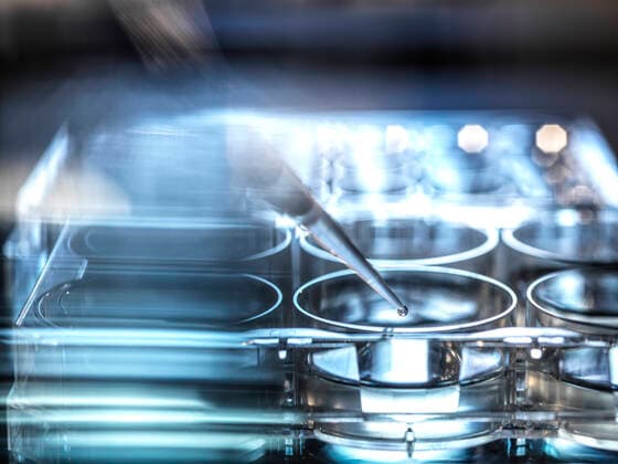 Chemistry sample pipetted into micro well plate property released ABRF00867
