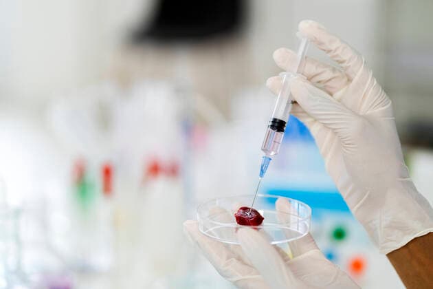 Researcher injecting liquid on meat while doing test in laboratory model released Symbolfoto property released GIOF11897