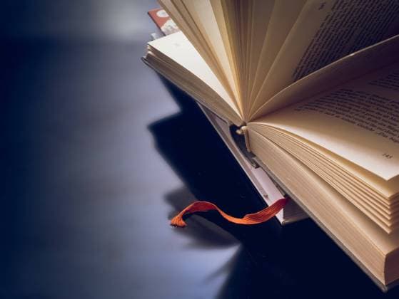 Geöffnetes und gefächertes Buch vor dunklem Hintergrund mit Textfreiraum *** Opened and fanned book in front of dark background with text free space 1028901438