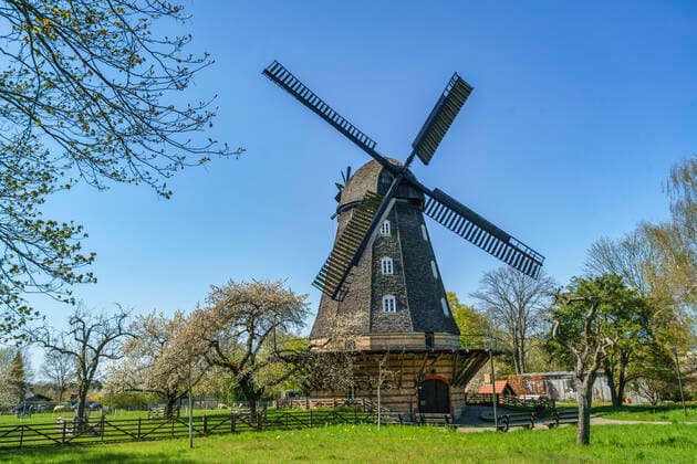 Britzer Mühle, Frühling in Berlin, Baumblüte, Britz, Berlin, Deutschland, Europa
