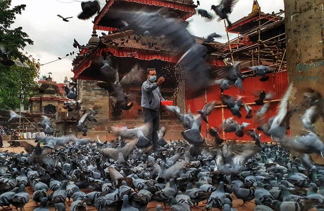 May 4, 2021, Kathmandu, Bagmati, Nepal: A man wearing face mask feeds pigeons during the prohibitory orders imposed due to increasing number of COVID-19 cases at Hanumandhoka in Kathmandu, Nepal on May 4, 2021. Kathmandu Nepal - ZUMAs233 20210504_zap_s233_001 Copyright: xSunilxSharmax