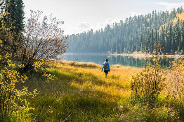 Woman walking in the grass with golden sunlight bathing her; Yukon, Canda  Copyright: RobertxPostma 33339481