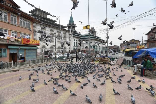 SRINAGAR, INDIA - MAY 5: A man feeding pigeons outside a shrine during a Covid-19 lockdown on May 5, 2021 in Srinagar, India. (Photo by Waseem Andrabi Hindustan Times) Lockdown In Jammu And Kashmir Due To Covid 19 Pandemic