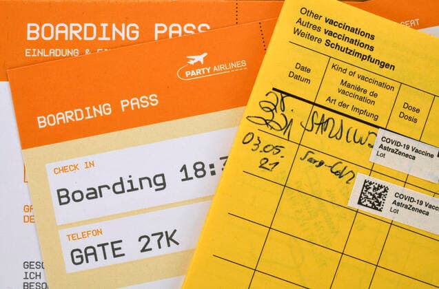 Symbofoto Impfprivilegien, herkömmlicher deutscher Impfpass, Bordkarte für Flugreise, Corona-Krise, Deutschland Coronavirus