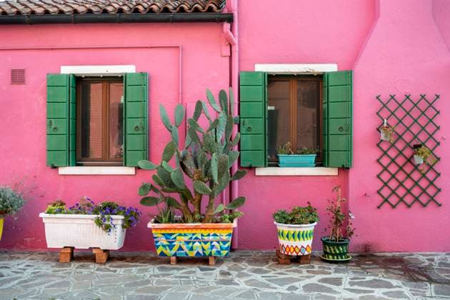  Pinkes Haus mit Blumentöpfen, farbenprächtige Fassade, Insel Burano, Venedig, Venetien, Italien, Europa *** Pink house with flower pots, colorful facade, Burano Island, Venice, Veneto, Italy, Europe Copyright: imageBROKER/MoritzxWolf ibxmmw06703161.jpg
