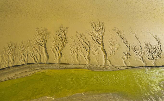 Creative Highlights World May 10, 2021, Yancheng, Jiangsu, China: The majestic painting on the mud flat which are drew by nature in Yancheng,Jiangsu,China on 10th May, 2021. Yancheng China - ZUMAt151 20210510_zia_t151_002 Copyright: xTpgx