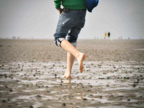 husum, schleswig-holstein, germany - 10 september 2020: young man makes a mudflat hike through the north german mudflats. unrecognizable person walks barefoot through the sea without water at ebb tide.