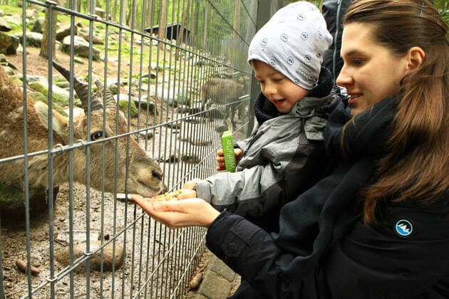 Besucher im Wildpark Schwarze Berge im niedersächsischen Rosengarten während der Coronavirus-Pandemie. Model Release: ja. Rosengarten Niedersachsen