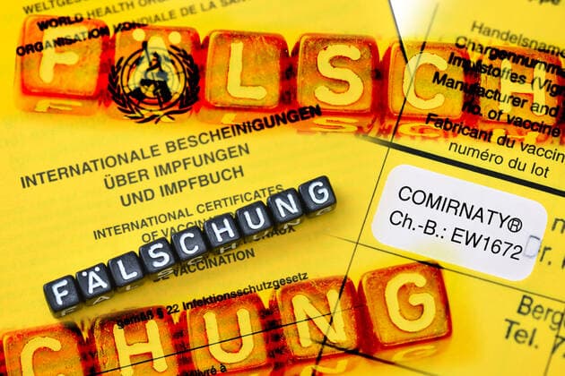 FOTOMONTAGE, GefÃ¤lschter Impfpass, Symbolfoto